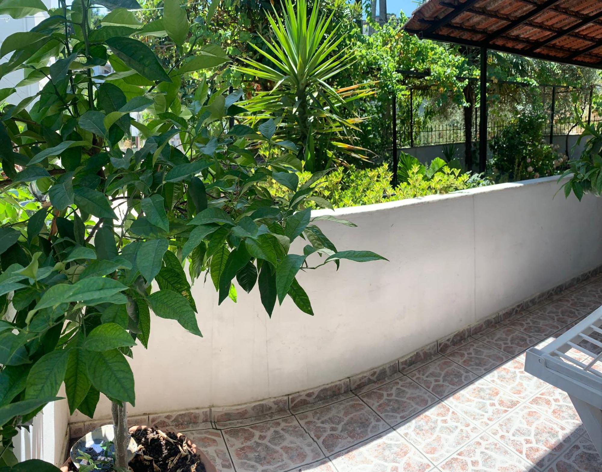 Christina'S House With 2 Bedrooms And Free Parking Gjirokastër 外观 照片